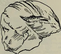 An illustration from Zeus : a study in ancient religion (1914)