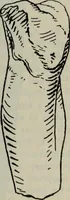 An illustration from Zeus : a study in ancient religion (1914)