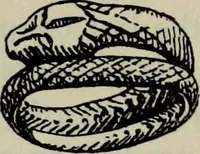 An illustration from Zeus : a study in ancient religion (1914)
