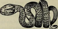 An illustration from Zeus : a study in ancient religion (1914)