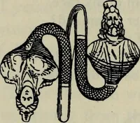 An illustration from Zeus : a study in ancient religion (1914)