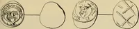 Picture 519 of 572 from Zeus : a study in ancient religion (1914), leaf 1040
