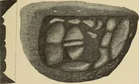 An illustration from Zeus : a study in ancient religion (1914)