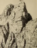 An illustration from Zeus : a study in ancient religion (1914)