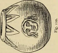 Picture 111 of 572 from Zeus : a study in ancient religion (1914), leaf 292