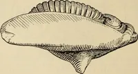 An illustration from Zeus : a study in ancient religion (1914)