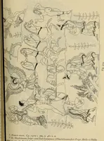 An illustration from Zeus : a study in ancient religion (1914)
