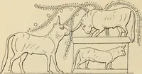An illustration from Zeus : a study in ancient religion (1914)