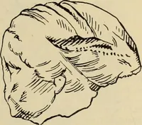 An illustration from Zeus : a study in ancient religion (1914)