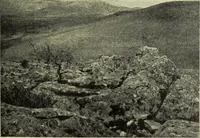 An illustration from Zeus : a study in ancient religion (1914)