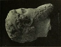 An illustration from Zeus : a study in ancient religion (1914)