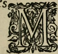 An illustration from Z. Heynsii Weg-wyser ter salicheyt : onder een sinnebeeld van des werelts beschryvinge den Christen wandelaer voorgestelt (1629)