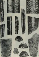 Picture 13 of 24 from The baptizing of infants reviewed and defended from the exceptions of Mr. Tombes [microform] : in his three last chapters of his book intituled Antipedobaptisme (1655), leaf 102