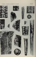 Picture 14 of 24 from The baptizing of infants reviewed and defended from the exceptions of Mr. Tombes [microform] : in his three last chapters of his book intituled Antipedobaptisme (1655), leaf 103