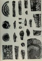 Picture 15 of 24 from The baptizing of infants reviewed and defended from the exceptions of Mr. Tombes [microform] : in his three last chapters of his book intituled Antipedobaptisme (1655), leaf 104
