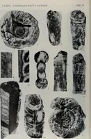 Picture 16 of 24 from The baptizing of infants reviewed and defended from the exceptions of Mr. Tombes [microform] : in his three last chapters of his book intituled Antipedobaptisme (1655), leaf 105