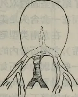 Picture 7 of 24 from The baptizing of infants reviewed and defended from the exceptions of Mr. Tombes [microform] : in his three last chapters of his book intituled Antipedobaptisme (1655), leaf 30