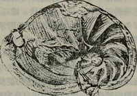 Picture 9 of 24 from The baptizing of infants reviewed and defended from the exceptions of Mr. Tombes [microform] : in his three last chapters of his book intituled Antipedobaptisme (1655), leaf 48