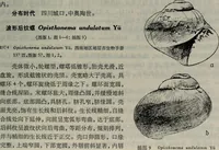 Picture 10 of 24 from The baptizing of infants reviewed and defended from the exceptions of Mr. Tombes [microform] : in his three last chapters of his book intituled Antipedobaptisme (1655), leaf 50