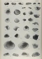 An illustration from Husbandry spiritualized, or, The heavenly use of earthly things [microform] : consisting of many pleasant observations, pertinent applications, and serious reflections, and each chapter concluded with a divine and suitable poem, directing husband-men to the most excellent improvements of their common imployments : whereunto are added, by way of appendix, several choice occasional meditations, upon birds, beasts, trees, flowers, rivers, and several other objects : fitted for the help of such as desire to walk with God in all solitudes and recesses from the world (1678)