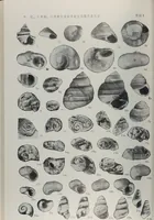 Picture 1 of 23 from Husbandry spiritualized, or, The heavenly use of earthly things [microform] : consisting of many pleasant observations, pertinent applications, and serious reflections, and each chapter concluded with a divine and suitable poem, directing husband-men to the most excellent improvements of their common imployments : whereunto are added, by way of appendix, several choice occasional meditations, upon birds, beasts, trees, flowers, rivers, and several other objects : fitted for the help of such as desire to walk with God in all solitudes and recesses from the world (1678), leaf 95