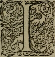 An illustration from Zinnebeelden (1683)