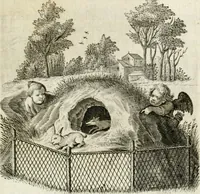 Picture 36 of 56 from Zinne-beelden der liefde, met puntdigten (1732), leaf 274