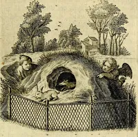 Picture 33 of 53 from Zinne-beelden der liefde, met puntdigten en aanteekeningen (1703), leaf 276
