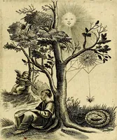 Picture 53 of 53 from Zinne-beelden der liefde, met puntdigten en aanteekeningen (1703), leaf 382