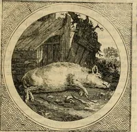 Picture 52 of 61 from Stichtelyke zinnebeelden gepast op deugden en ondeugden in LVII tafereeellen vertoont (1723), leaf 228