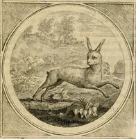 An illustration from Stichtelyke zinnebeelden gepast op deugden en ondeugden in LVII tafereeellen vertoont (1723)