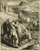 Picture 74 of 106 from Zinnebeelden, getrokken uit Horatius Flaccus (1683), leaf 152