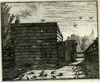Picture 25 of 51 from Leerzaame zinnebeelden (1757), leaf 117
