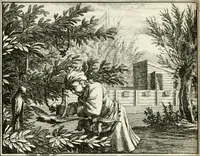 An illustration from Leerzaame zinnebeelden (1757)