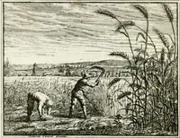 An illustration from Leerzaame zinnebeelden (1757)