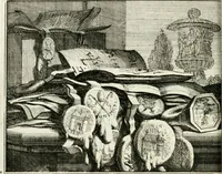 An illustration from Leerzaame zinnebeelden (1757)
