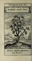 An illustration from Zodiacus Christianus locupletatus, seu, Signa XII. divinae praedestinationis totidem symbolis explicata (1632)