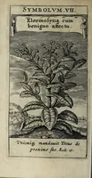 An illustration from Zodiacus Christianus locupletatus, seu, Signa XII. divinae praedestinationis totidem symbolis explicata (1632)