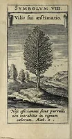 Picture 7 of 14 from Zodiacus Christianus locupletatus, seu, Signa XII. divinae praedestinationis totidem symbolis explicata (1632), leaf 86