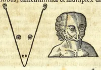 Picture 6 of 28 from Zootomia democritaea: id est, Anatome generalis totius animantium opificii : (1645), leaf 115