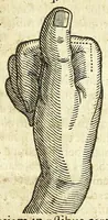 Picture 10 of 28 from Zootomia democritaea: id est, Anatome generalis totius animantium opificii : (1645), leaf 225