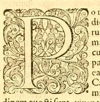 An illustration from Zosimi com. historiarum libri VI, procopius de bell.justiniani : libri totidem, Agathiae historiarum libri V ... (1605)