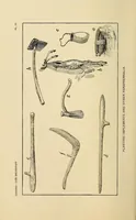 An illustration from Zuñi breadstuff (1920)