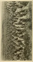 An illustration from Zuñi breadstuff (1920)
