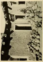 An illustration from Zuñi breadstuff (1920)