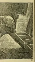 Picture 12 of 18 from Zuñi breadstuff (1920), leaf 416