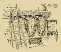 Picture 16 of 18 from Zuñi breadstuff (1920), leaf 568