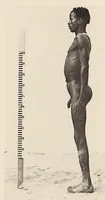 An illustration from Zur anthropologie des abflusslosen rumpfschollenlandes im nordöstlichen Deutsch-Ostrafrika, auf grund der sammlung der Ostrafrika- expedition (dr. E. Obst) der Geographischen gesellschaft in Hamburg (1915)