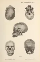 An illustration from Zur anthropologie des abflusslosen rumpfschollenlandes im nordöstlichen Deutsch-Ostrafrika, auf grund der sammlung der Ostrafrika- expedition (dr. E. Obst) der Geographischen gesellschaft in Hamburg (1915)