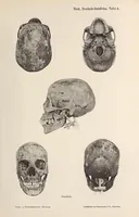 An illustration from Zur anthropologie des abflusslosen rumpfschollenlandes im nordöstlichen Deutsch-Ostrafrika, auf grund der sammlung der Ostrafrika- expedition (dr. E. Obst) der Geographischen gesellschaft in Hamburg (1915)